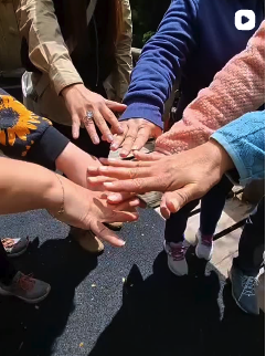 Imagen de instagram 3